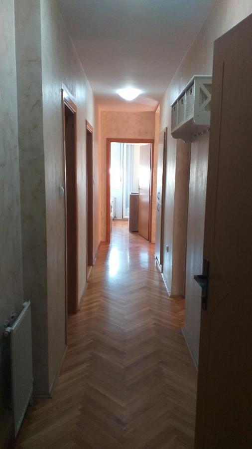Apartman Anja Novi Sad Buitenkant foto